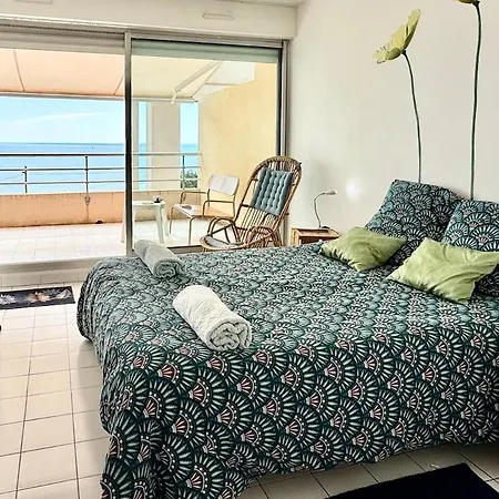 Vue Mer, 2 Terrasse Piscine Et Garage